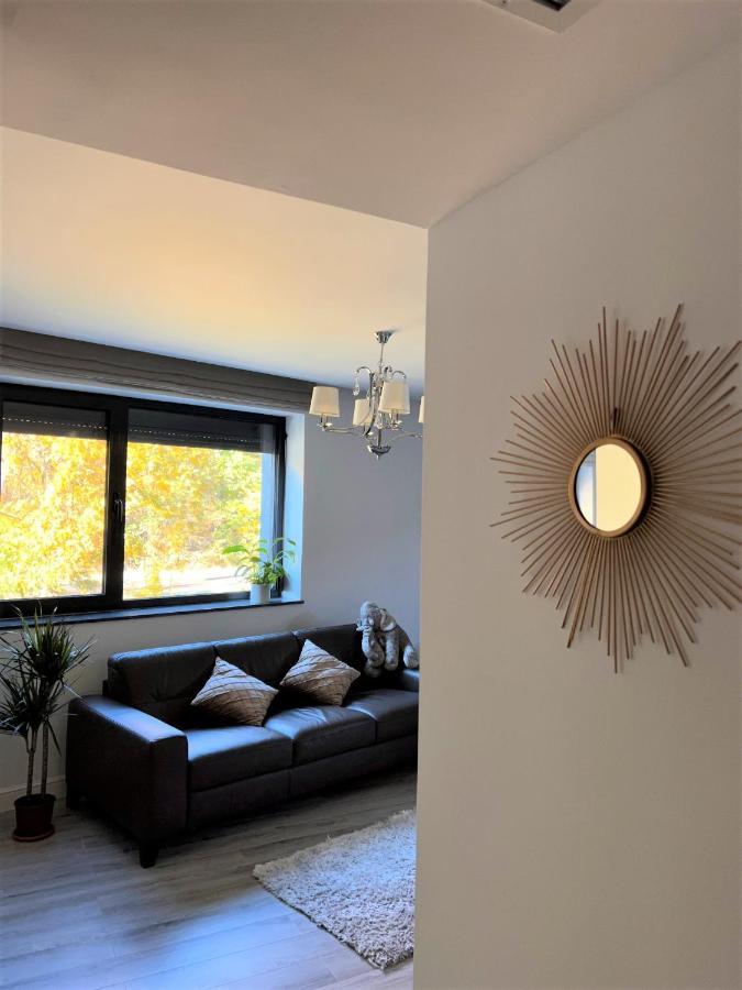 Welcoming Forest Appartamento Bucarest